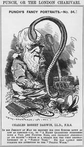 Charles Darwin, Punchs fancy portrætter, nr. 54, illustration fra 
