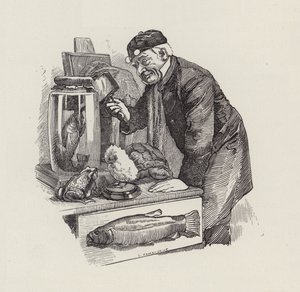Illustration til The Water-Babies af Charles Kingsley (gravering) af Edward Linley (after) Sambourne