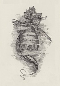 Illustration til The Water-Babies af Charles Kingsley (gravering) af Edward Linley (after) Sambourne
