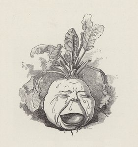 Illustration til The Water-Babies af Charles Kingsley (gravering) af Edward Linley (after) Sambourne