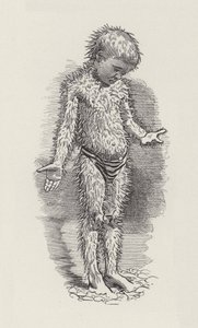 Illustration til The Water-Babies af Charles Kingsley (gravering) af Edward Linley (after) Sambourne