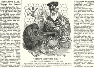 Punch tegnefilm: Abraham Dee Bartlett, superintendent for London Zoo, og en babygorilla (gravering) af Edward Linley (after) Sambourne