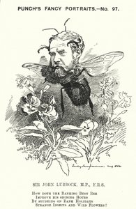 Punch tegnefilm: John Lubbock af Edward Linley (after) Sambourne