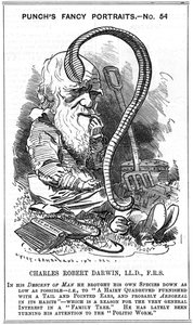 Charles Darwin (1809-1882) engelsk naturforsker. Evolution ved naturlig udvælgelse. Tegneserie af Edward Linley Sambourne (1844-1910) i Fancy Portrait-serien i Punch, London 1881, året Darwin udgav The Formation of Vegetable Mold gennem handlingen