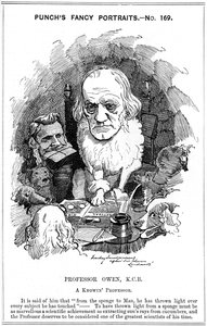 Richard Owen, engelsk zoolog, 1884 af Edward Linley Sambourne