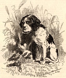 William GGV Vernon Harcourt (1827-1904) af Edward Linley Sambourne