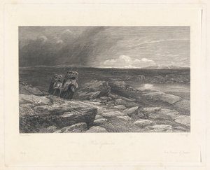 Tørvesamlere