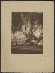 Apache-Black River (ved platantræet) af Edward S. Curtis