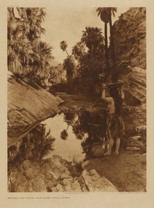 Før den hvide mand kom - Palmekanon af Edward S. Curtis
