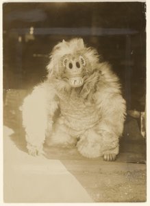 I ulvemasken af Edward S. Curtis