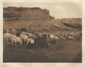 Mappe I, plade 33: Navaho-flokke af Edward S. Curtis