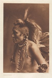 Portfolio VI, Plade 194: Gambler - Piegan