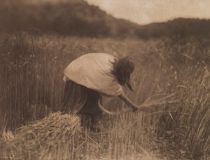 Apache Reaper af Edward S. Curtis