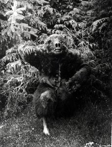 Nane-Qagyuhl, indiansk kostume af Edward Sheriff Curtis