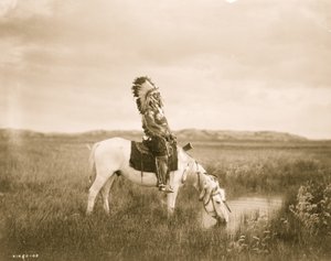 Oasis in the Badlands 1905 (foto)