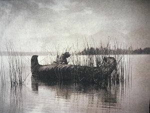 The Rush Gatherer, Montana (s/h-billede) af Edward Sheriff Curtis