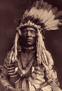 Væselhale (Apohsuyis). Denne indiske Piegan bærer den berømte krigshæk i ørnefjer og væselhud, en ruskindstunika, to halskæder, den ene i ben og den anden i grizzly-kløer, og en tomahawk-pibe. Foto taget fra bind 6 af encyklopædien offentliggjort