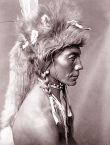 Gul nyre, Piegan af Edward Sheriff Curtis