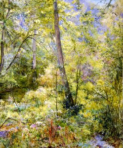 Dappled Sunlight, Sheepscombe Woods af Edward Steel Harper