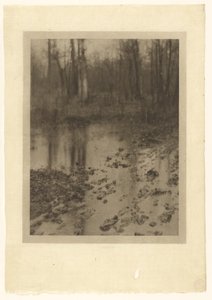 Poolen af Edward Steichen