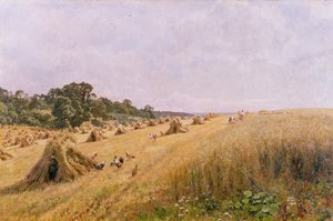 Kornmarkshøst