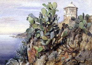 Cactus stikkende pære, Monaco af Edward William Cooke