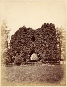Udsigt over en dårskab i Roundhay Park (albumin print) af Edward Wormald