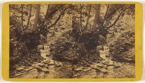 Kunstnerstudier, Glen Alpha. Afsnit nr. 1. af Edward and Henry T. Anthony and Co.