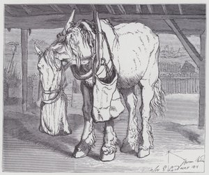 En vognhest af Edwin (after) Landseer