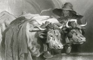 Okser ved tanken, Genève (gravering) af Edwin (after) Landseer
