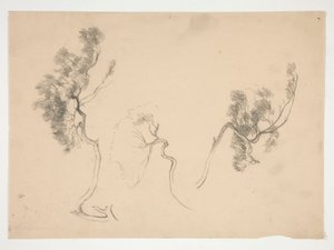 Skitser af grene af Edwin Austin Abbey