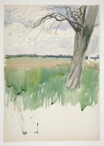 Undersøgelse af en mark og et træ af Edwin Austin Abbey