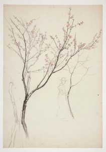 Studie af en figur under et blomstrende træ af Edwin Austin Abbey