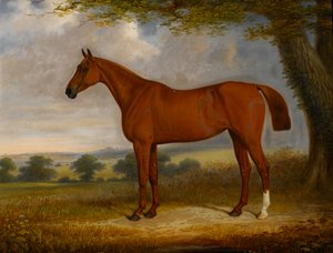 Kastanjejæger i et landskab, 1867 af Edwin Brown