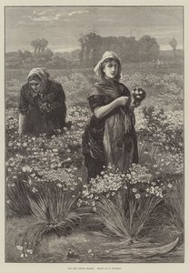 Til London Market (gravering) af Edwin Buckman