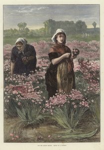 Til London Market af Edwin Buckman