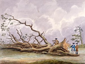 Træer beskadiget af en storm den 15. oktober, Roehampton, London, 1780
