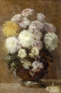 Krysantemum, 1892