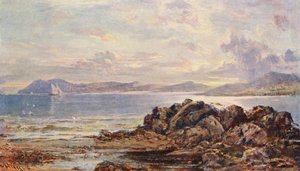 Sommervejr i Dublin-bugten (farvelitografi) af Edwin Hayes