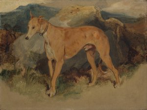 En hjortehund, 1826. af Edwin Landseer