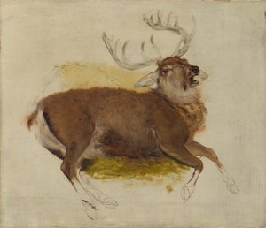 Døende hjort, ca. 1830. af Edwin Landseer