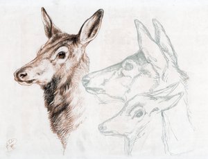 Faksimile af en tegning af Sir E Landseer, 1874. af Edwin Landseer