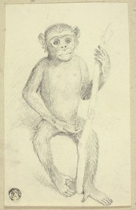 Orangutang
