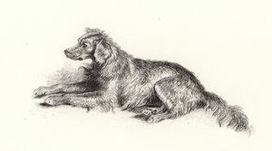 En setterhund af Edwin Landseer