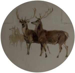 Deer in a Landscape (Studier of Deer) af Edwin Landseer