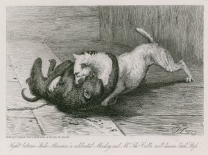 Kamp mellem Jacco Macacco, en berømt abe, og Thomas Cubbs velkendte tæve, Puss af Edwin Landseer
