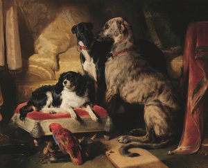 Hector, Nero og Dash med papegøjen Lory af Edwin Landseer