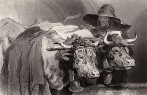 Okser ved tanken, Genève, Schweiz af Edwin Landseer