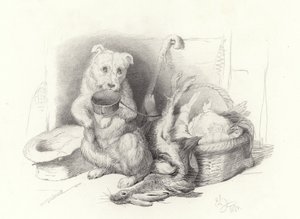Tiggeren af Edwin Landseer