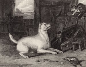 Den indtrængende af Edwin Landseer